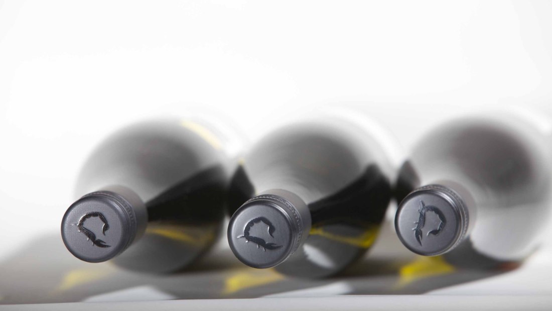 Strub scorpion capsule1, © Michael von Haugwitz Strub scorpion capsule1, © Michael von Haugwitz