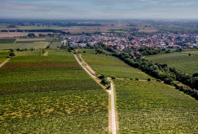 Guntersblumer Steig-Terrassen Guntersblumer Steig-Terrassen