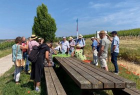 Reise durch die Welt des Weines © Guido Borowski Reise durch die Welt des Weines © Guido Borowski