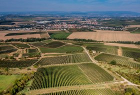 Sprendlinger Wißberg Sprendlinger Wißberg