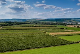 Ockenheimer Kreuz Ockenheimer Kreuz