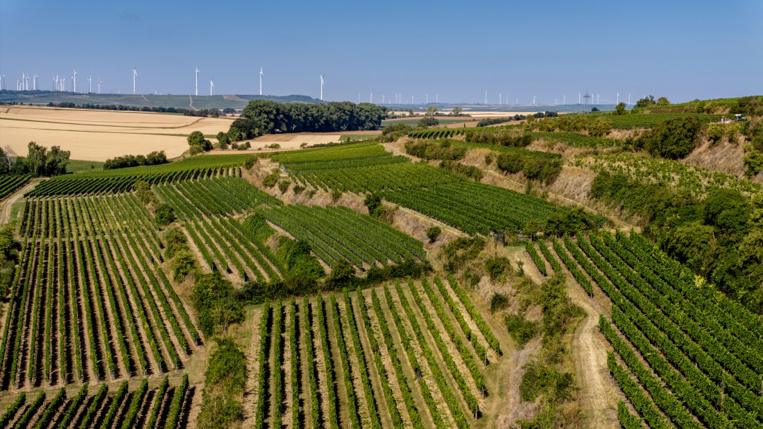 Alsheimer Römerberg, © Torsten Silz Alsheimer Römerberg, © Torsten Silz