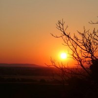 Die Sonne versinkt im Rheintal © Schäffer Weinolsheim Die Sonne versinkt im Rheintal © Schäffer Weinolsheim