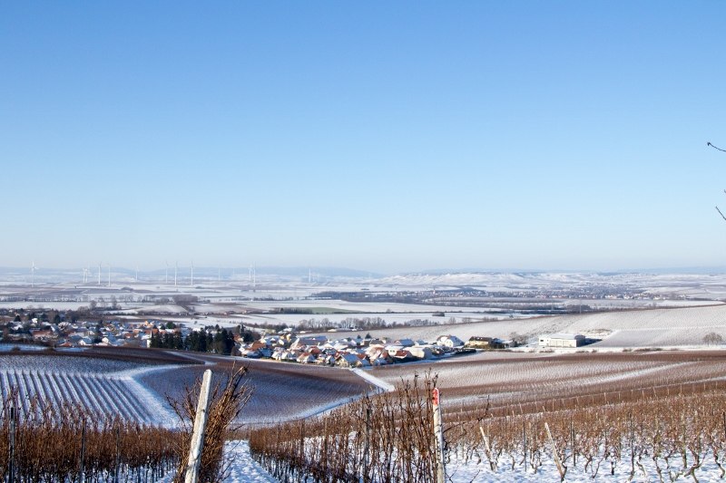 5 (800x533), © Weinhaus Uhl 5 (800x533), © Weinhaus Uhl