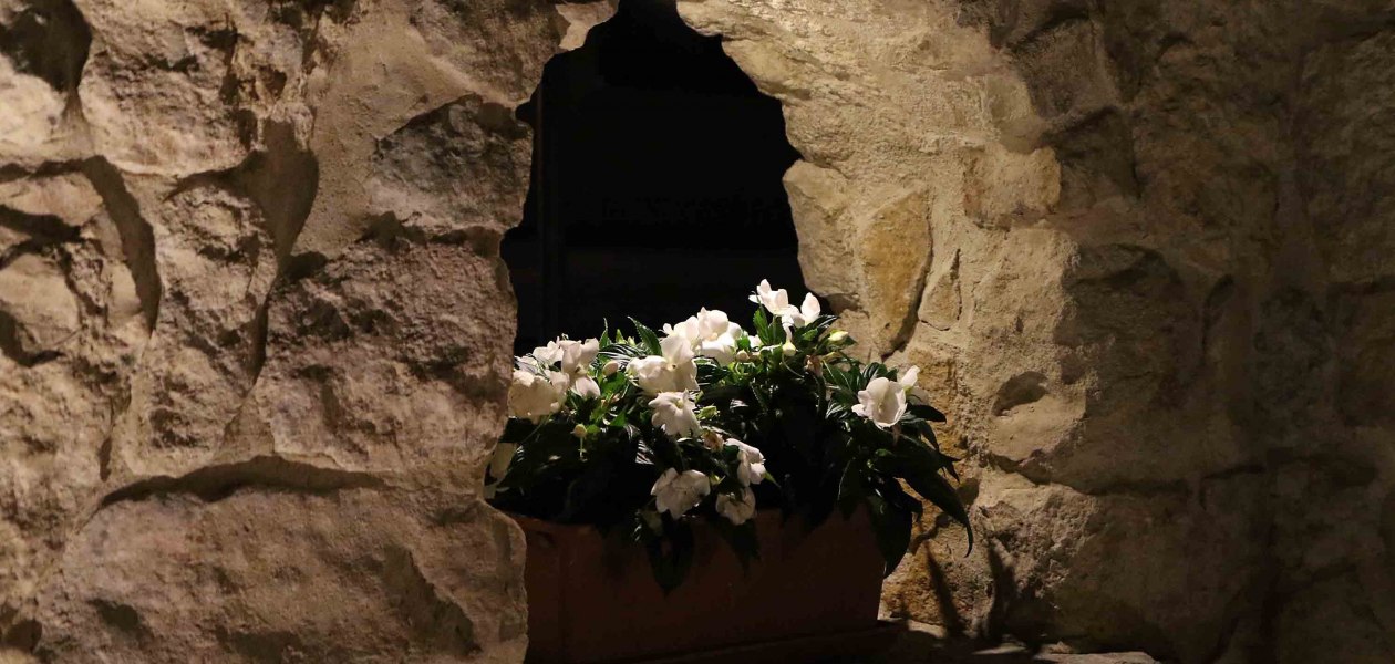 Winery Schulz3, © Weingut Schulz Winery Schulz3, © Weingut Schulz