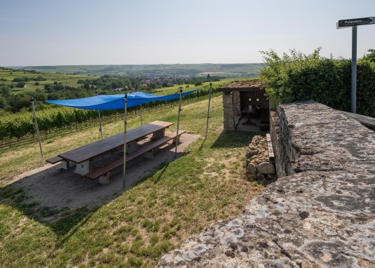 Tisch des Weins Shwabenheim © Verbandsgemeinde Gau-Algesheim Tisch des Weins Shwabenheim © Verbandsgemeinde Gau-Algesheim