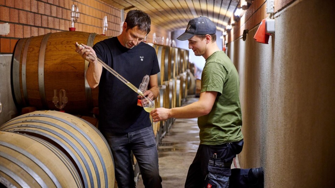 © Weingut Manz © Weingut Manz