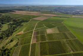 Nieder-Hilbersheimer Steinacker © Torsten Silz Nieder-Hilbersheimer Steinacker © Torsten Silz