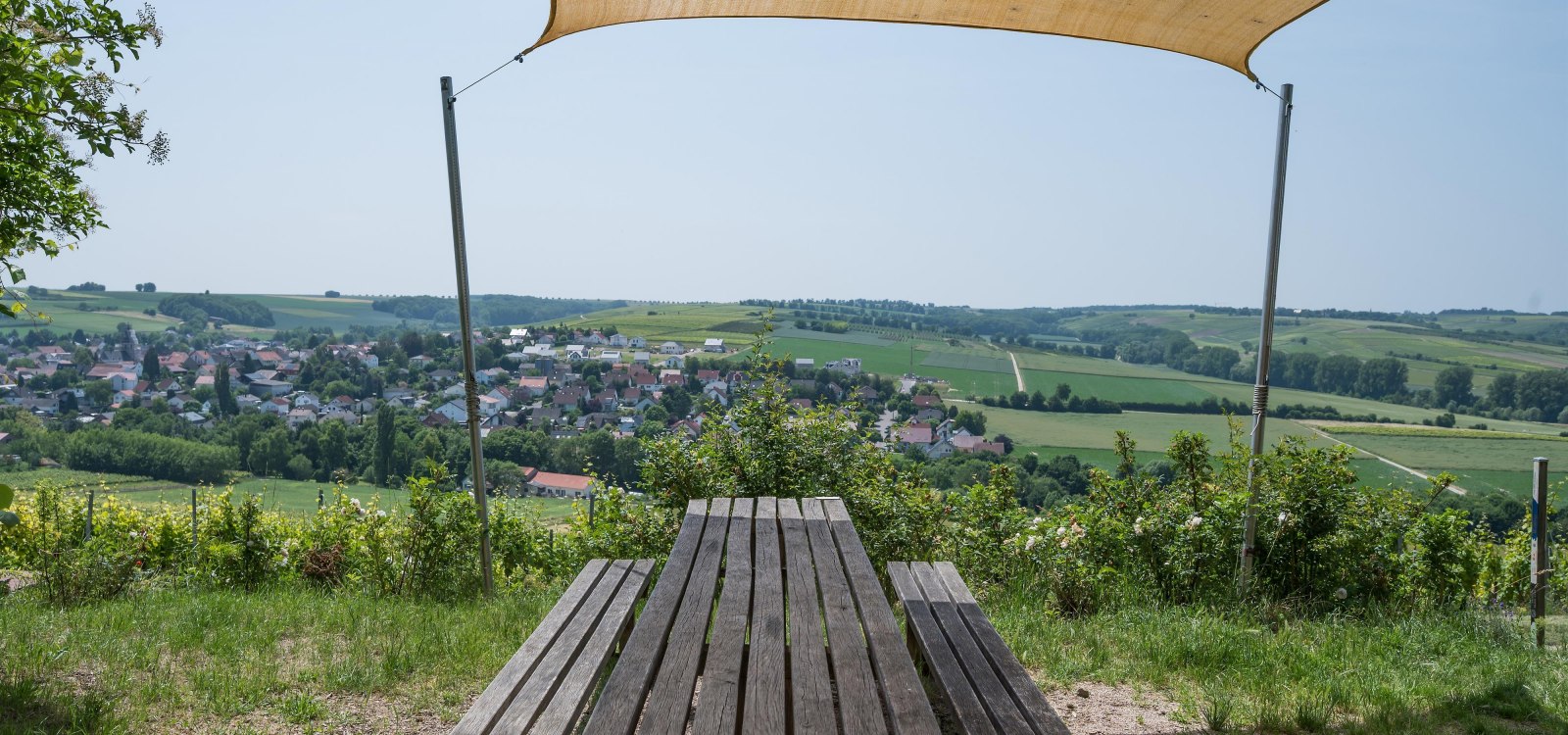 Tisch des Weins, © Verbandsgemeinde Fau-Algesheim Tisch des Weins, © Verbandsgemeinde Fau-Algesheim