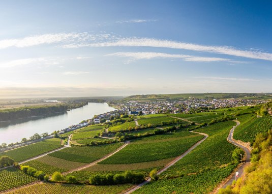Brudersberg Schönste Weinsicht, Nierstein © Dominik Ketz, Rheinhessen-Touristik GmbH Brudersberg Schönste Weinsicht, Nierstein © Dominik Ketz, Rheinhessen-Touristik GmbH