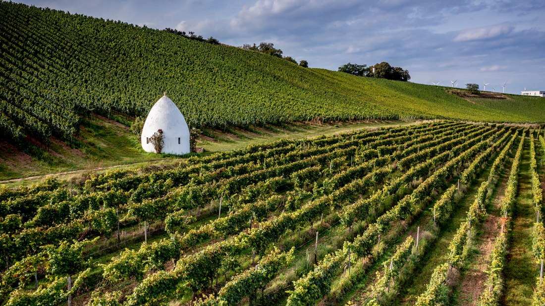 Uffhofener La Roche Uffhofener La Roche