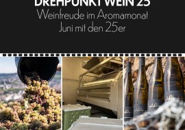 Drehpunkt1, © Weingut Hildegardishof Drehpunkt1, © Weingut Hildegardishof