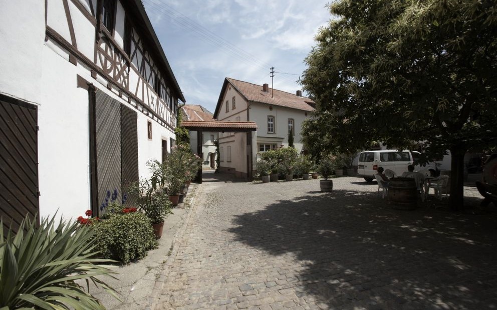 Weingut Scherner-Kleinhanß_Hof, © Weingut Scherner-Kleinhanß Weingut Scherner-Kleinhanß_Hof, © Weingut Scherner-Kleinhanß