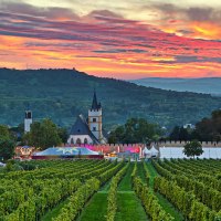 Burgkirchengelände während des Rotweinfestes © Rainer Oppenheimer/Stadt Ingelheim Burgkirchengelände während des Rotweinfestes © Rainer Oppenheimer/Stadt Ingelheim
