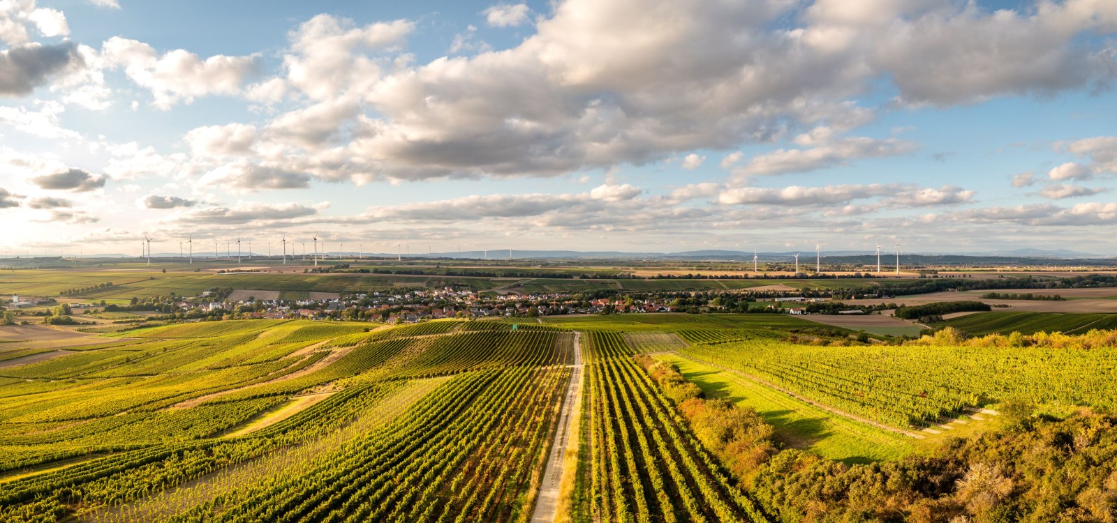 Gau-Odernheimer Petersberg, © CC-BY-SA Dominik Ketz Gau-Odernheimer Petersberg, © CC-BY-SA Dominik Ketz