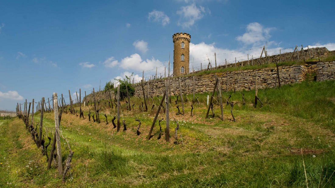 Weingut Heiligenblut_Turm 3, © Weingut Heiligenblut Weingut Heiligenblut_Turm 3, © Weingut Heiligenblut