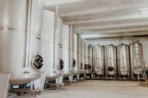 Weingut Kleemann_Keller, © Julia Hess Fotografie Weingut Kleemann_Keller, © Julia Hess Fotografie