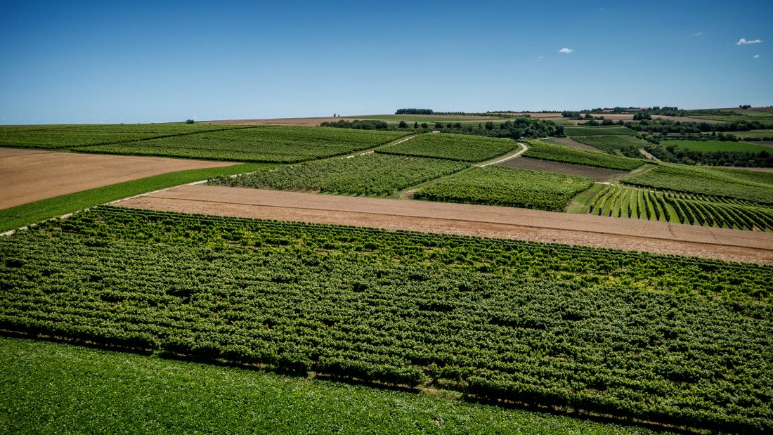 Klein-Winternheimer Geiershölle Klein-Winternheimer Geiershölle