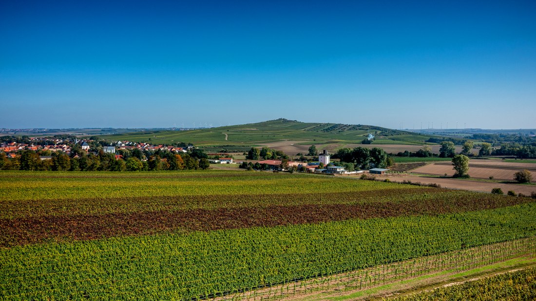 Biebelnheimer Pilgerstein Biebelnheimer Pilgerstein
