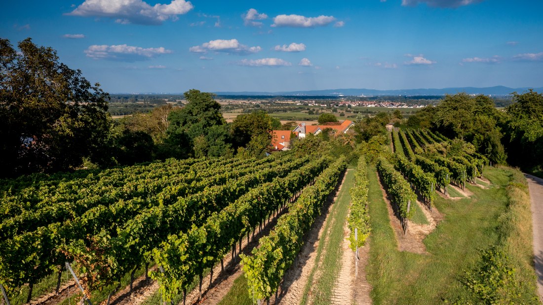 Alsheimer Fischerpfad Alsheimer Fischerpfad