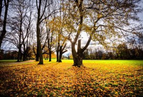 Wormser Wäldchen im Herbst © Tourist Information Worms Wormser Wäldchen im Herbst © Tourist Information Worms