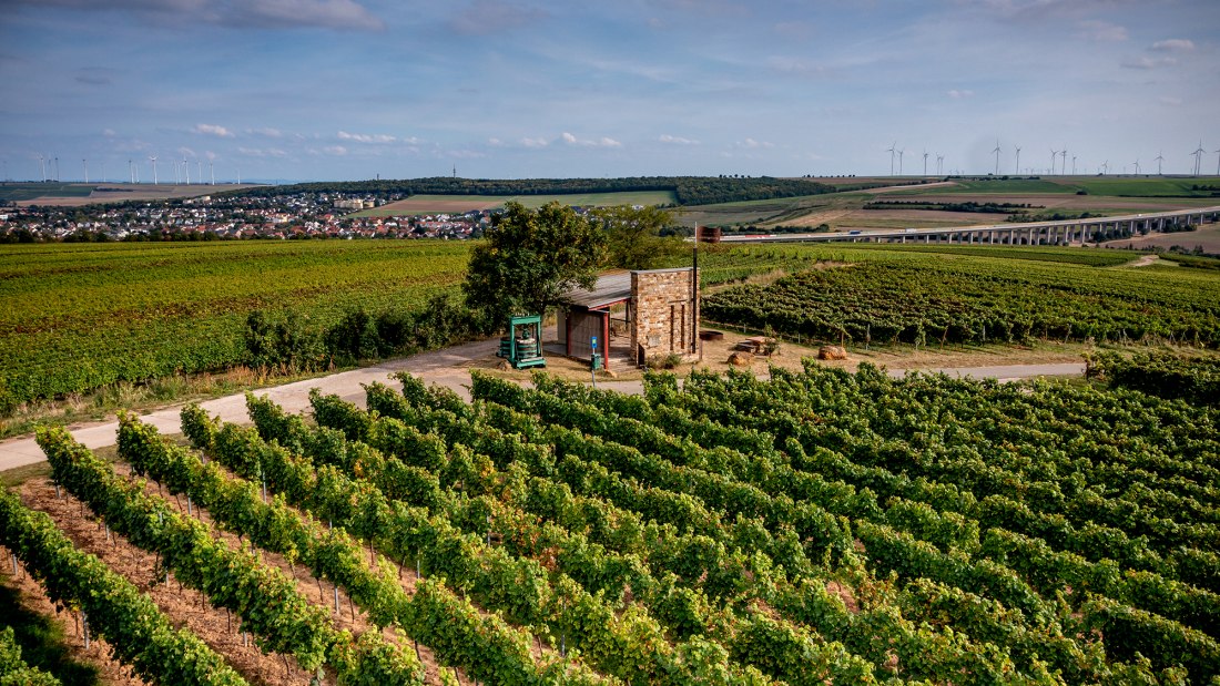 Weinheimer Kapellenberg Weinheimer Kapellenberg
