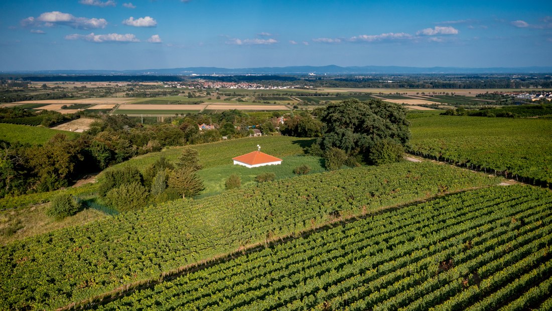 Alsheimer Fischerpfad Alsheimer Fischerpfad