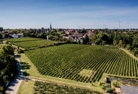 Flomborner Feuerberg Flomborner Feuerberg