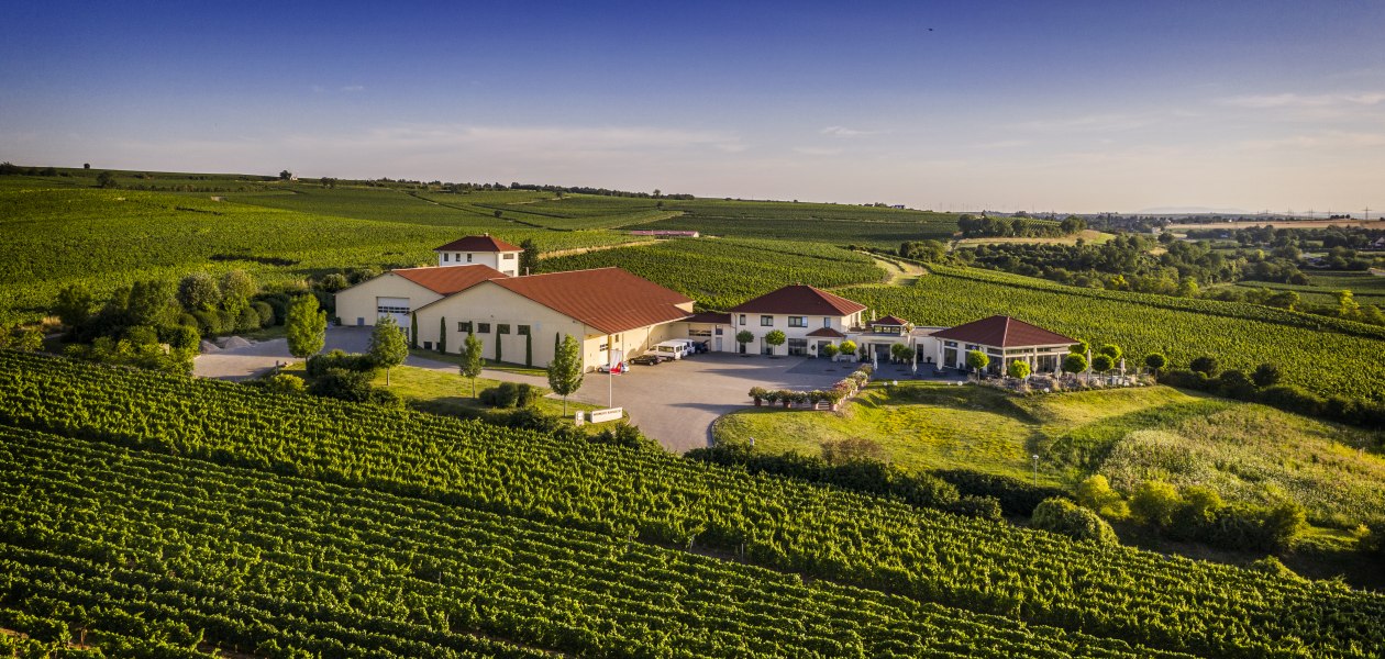 © Weingut Raddeck © Weingut Raddeck