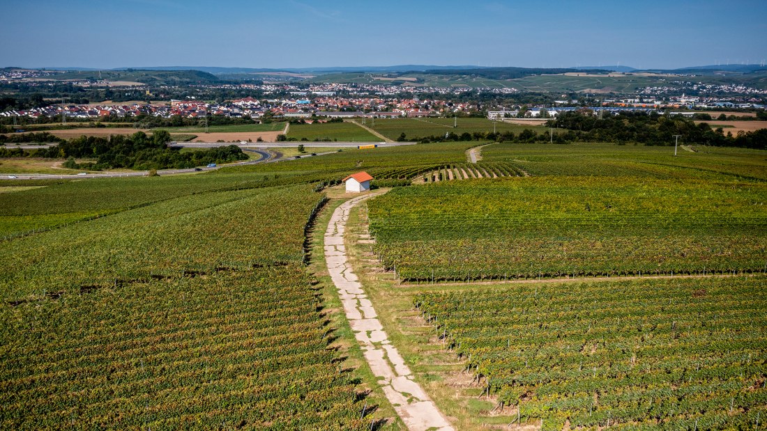 Gensinger Goldberg Gensinger Goldberg