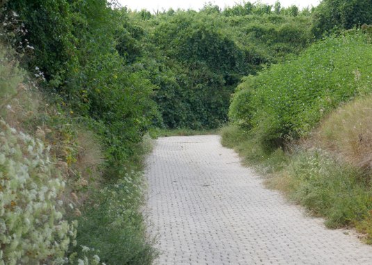 Kirschbühl Hohl © Michael Jung Kirschbühl Hohl © Michael Jung