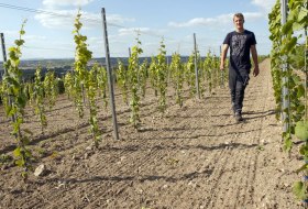 Weingut Bischofsmühle_Weinberg © Weingut Bischofsmühle Weingut Bischofsmühle_Weinberg © Weingut Bischofsmühle