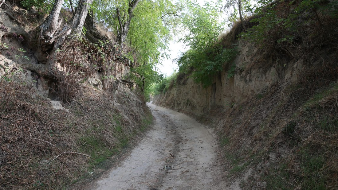 Weingut Fischborn Bergeshof_Weg, © Weingut Fischborn Bergeshof Weingut Fischborn Bergeshof_Weg, © Weingut Fischborn Bergeshof