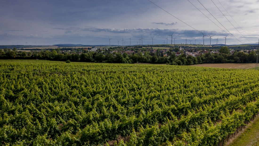 Wallertheimer Vogelsang-DJI_0769, © Rheinhessenwein e.V., Torsten Silz Wallertheimer Vogelsang-DJI_0769, © Rheinhessenwein e.V., Torsten Silz