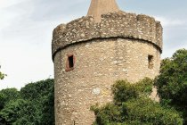 Hexenturm Fleckenmauer Flörsheim-Dalsheim Hexenturm Fleckenmauer Flörsheim-Dalsheim