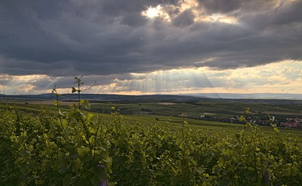 <p>(c) Achim Meurer</p>
, © Achim Meurer <p>(c) Achim Meurer</p>
, © Achim Meurer
