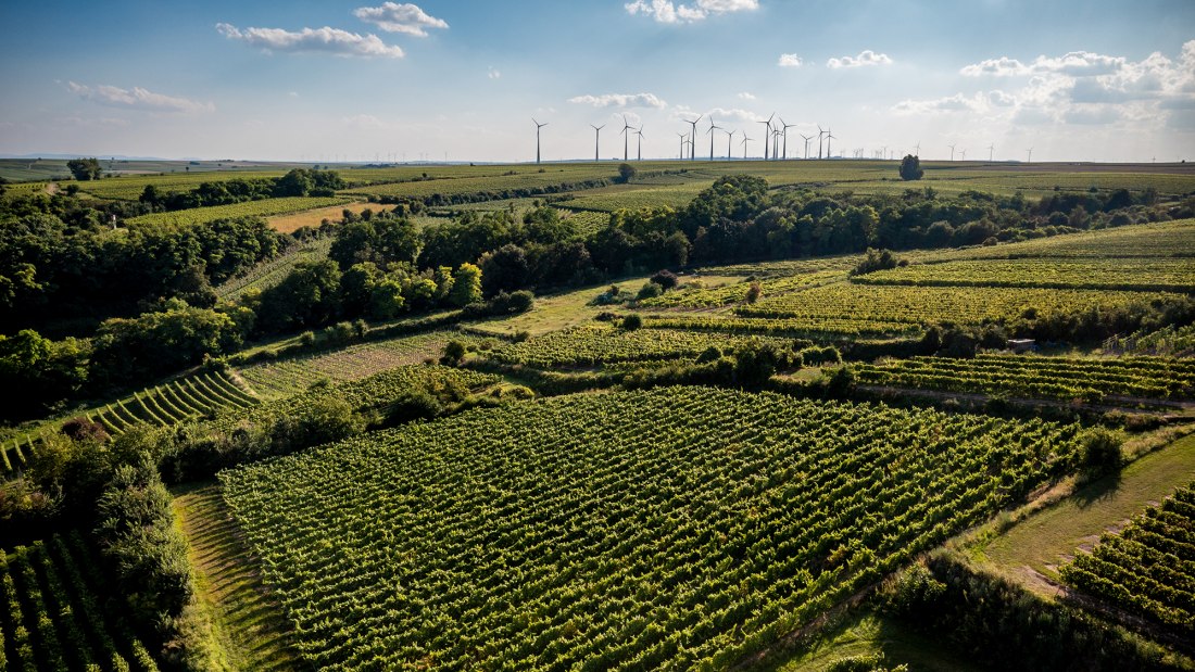 Alsheimer Frühmesse Alsheimer Frühmesse