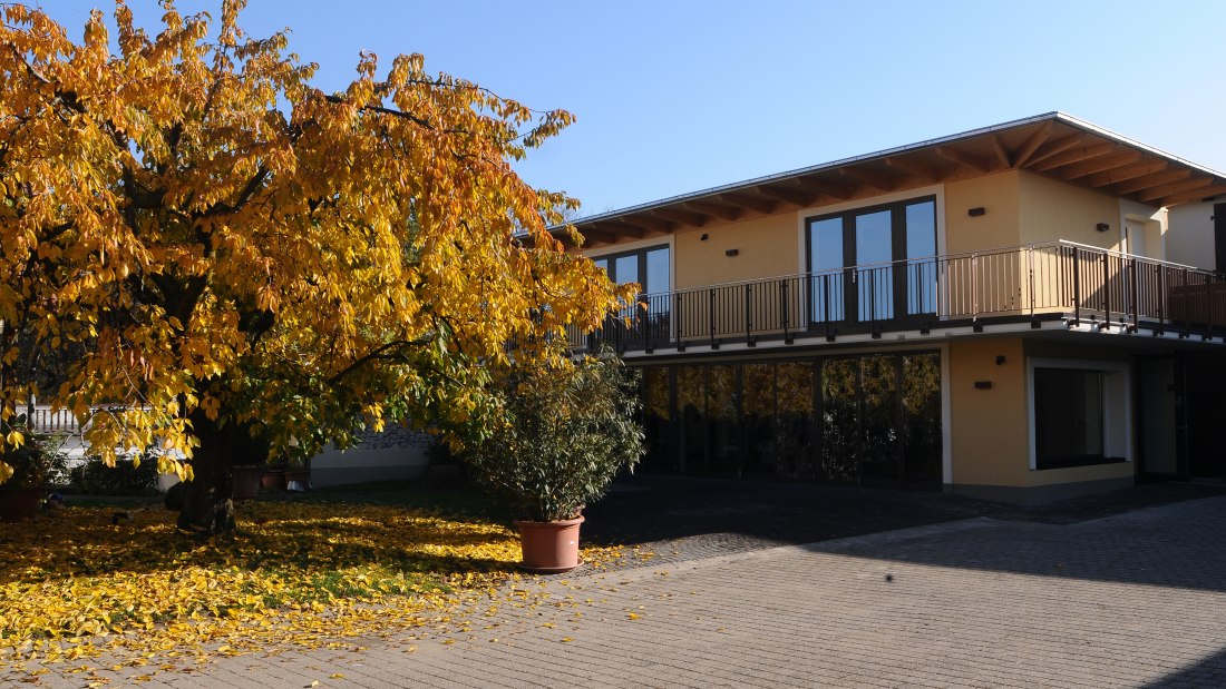 Weingut Mussel_Weingut, © Weingut Mussel Weingut Mussel_Weingut, © Weingut Mussel