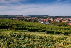 Albiger Schloss Hammerstein Albiger Schloss Hammerstein