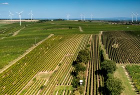 Hillesheimer Altenberg Hillesheimer Altenberg