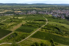 Heidesheimer Geißberg © Torsten Silz Heidesheimer Geißberg © Torsten Silz