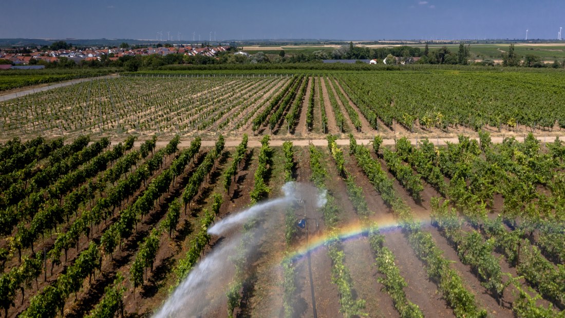 Offsteiner Engelsberg Offsteiner Engelsberg