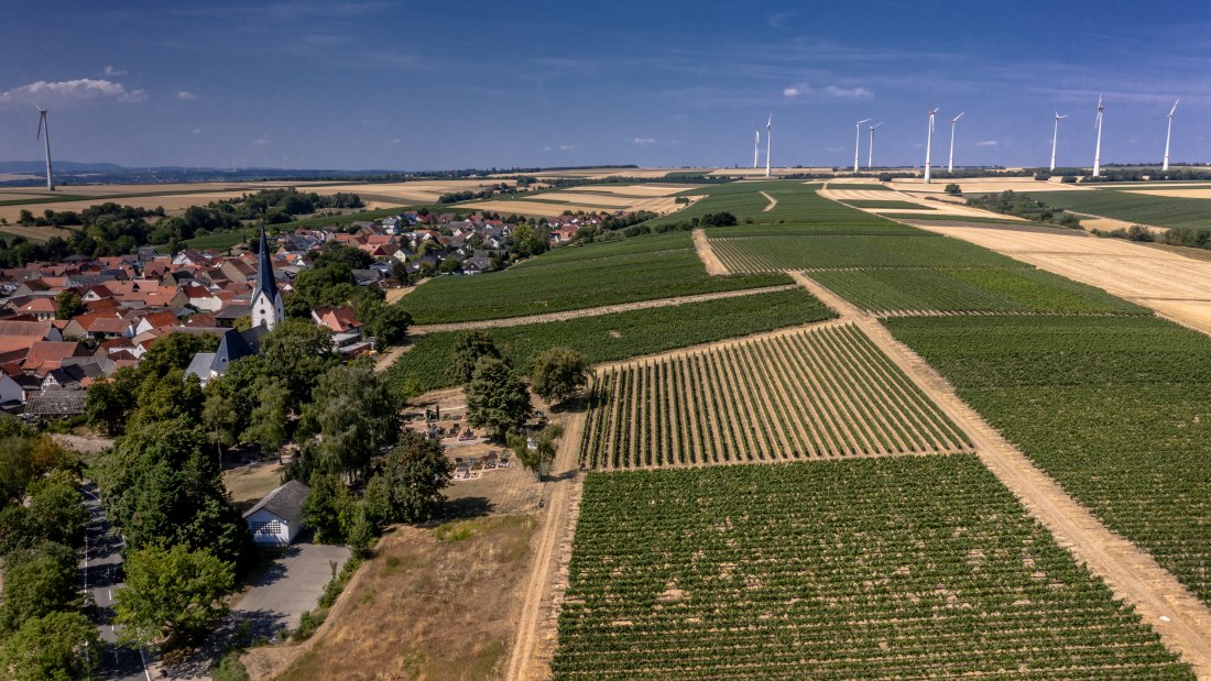 Gabsheimer Rosengarten Gabsheimer Rosengarten