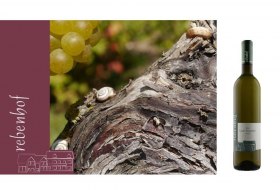 1 © Weingut Rebenhof 1 © Weingut Rebenhof
