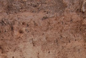 Löss Tschernosem © Landesamt für Geologie und Bergbau Rheinland-Pfalz Löss Tschernosem © Landesamt für Geologie und Bergbau Rheinland-Pfalz