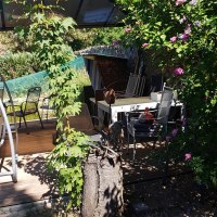 20200805_120122 20200805_120122