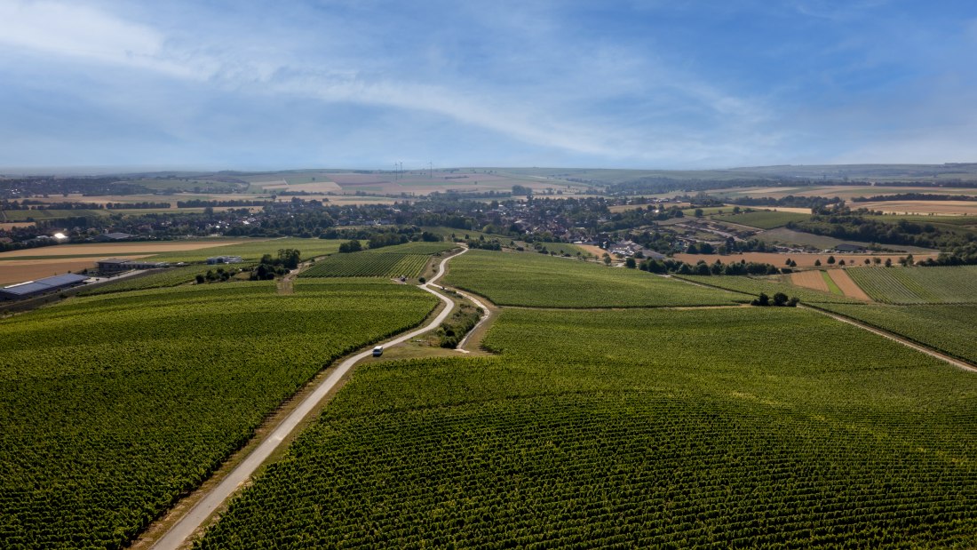 Mommenheimer Silbergrube Mommenheimer Silbergrube