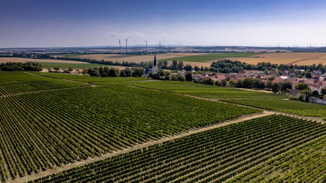 Gabsheimer Rosengarten Gabsheimer Rosengarten