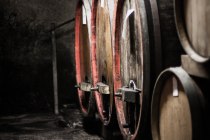 © Weingut Schnabel © Weingut Schnabel
