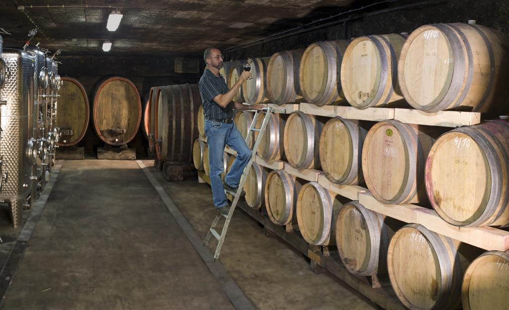 Weingut Weitzel, © Weingut Weitzel Weingut Weitzel, © Weingut Weitzel